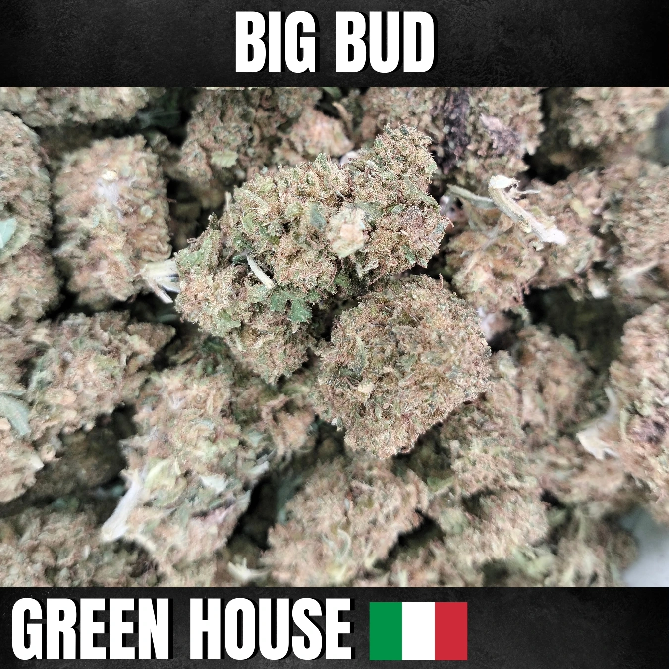 fleurs de cbd amnesia classic