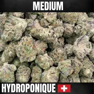 fleurs de cbd maui waui indoor high level genetique