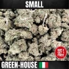 fleurs de cbd sweet lemon small green house