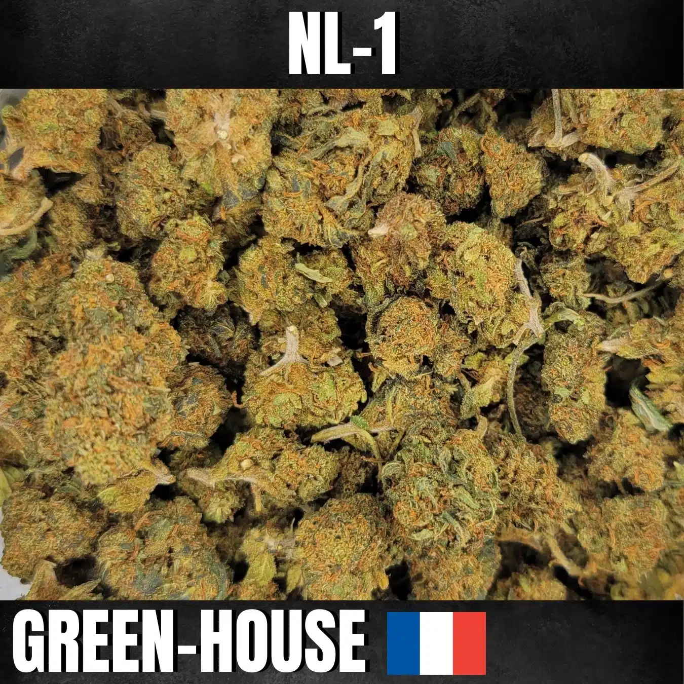 FLEURS DE NL1