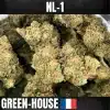 WHITE-JEALOUSY NL1
