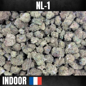 fleurs de nl-1 cali x mango