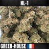 CRITICAL NL1