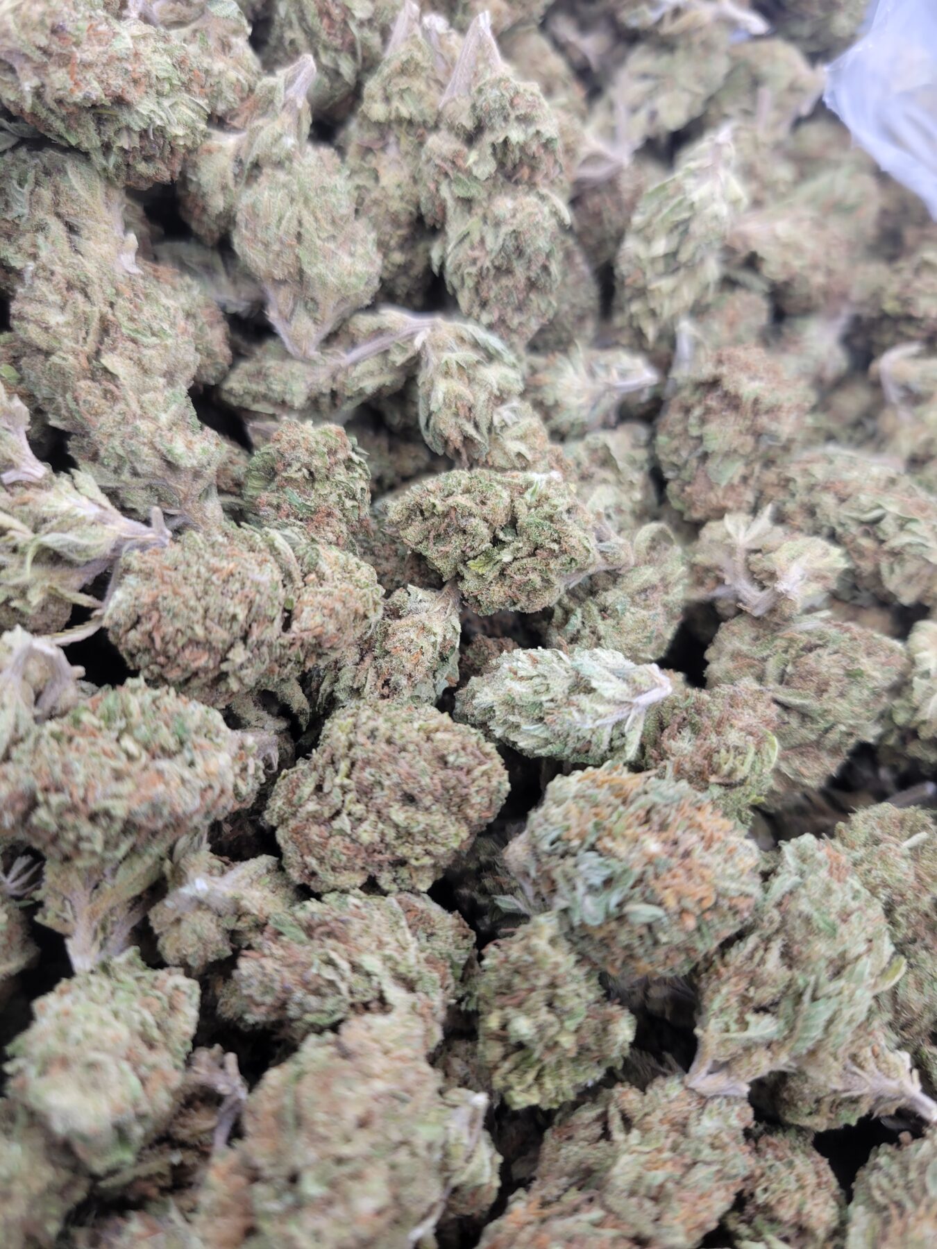 fleurs de cbd usa spicy