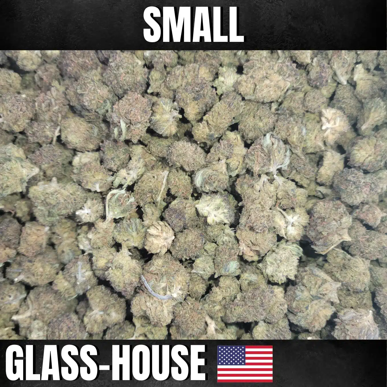 fleurs de cbd usa SKYWALKER