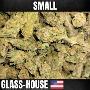 fleurs de cbd usa nutzy