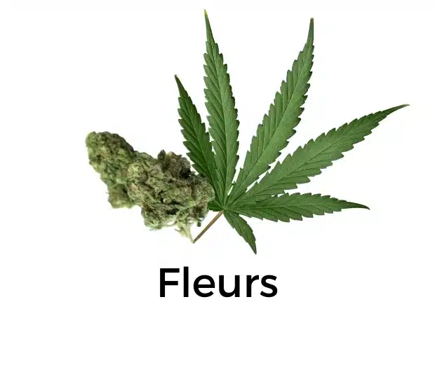 Fleurs fleurs de cbd