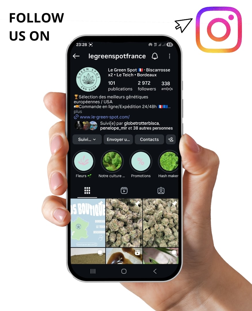 lien instagram le green spot france
