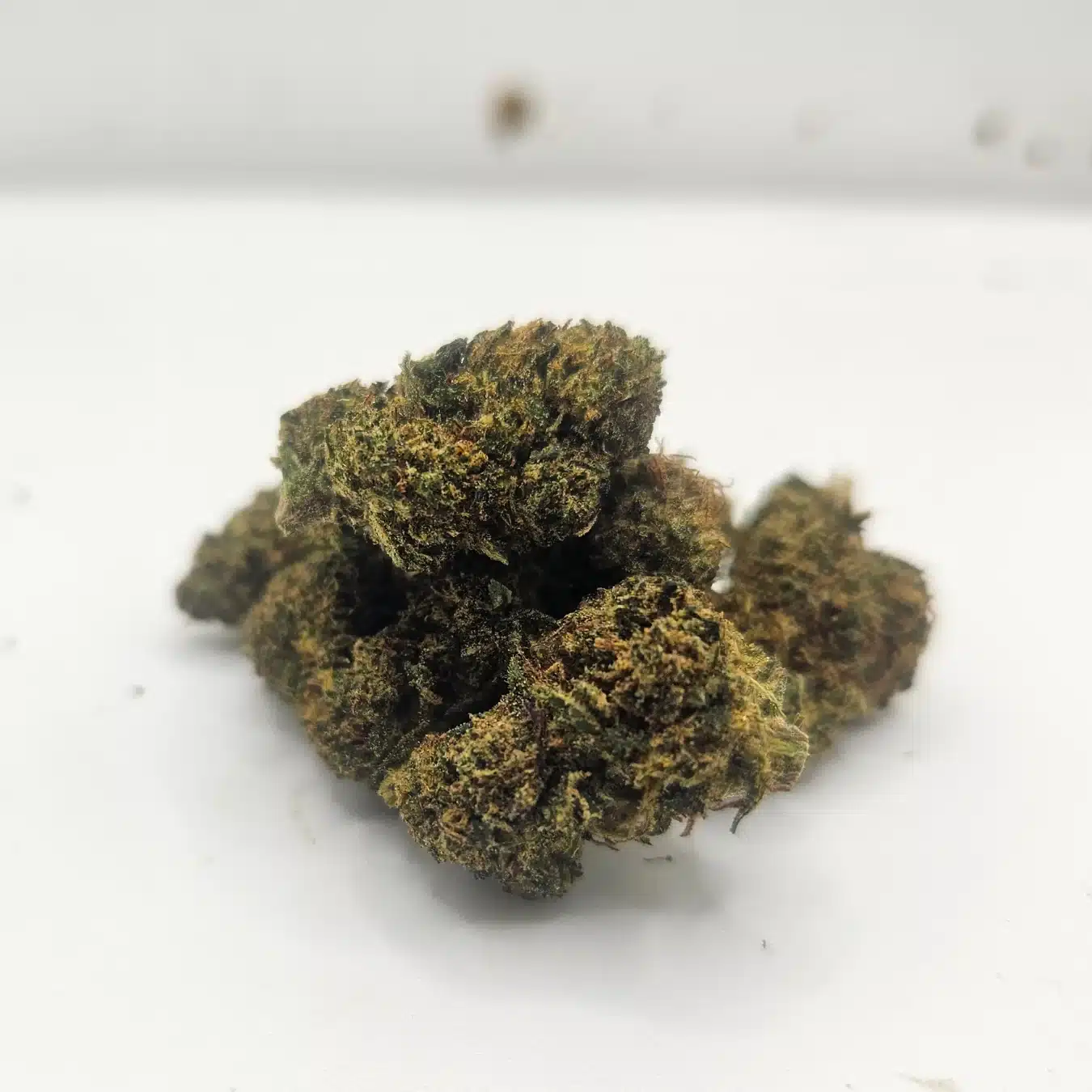 FLEURS CRITICAL NL-4