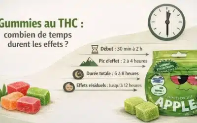 Gummies THC : combien de temps dure l’effet exactement ?