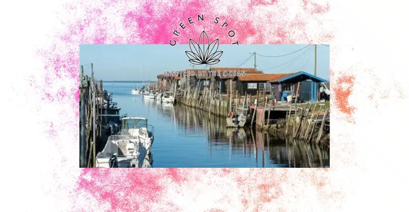 Gummies THC gujan mestras Achetez des gummies thc a gujan mestras