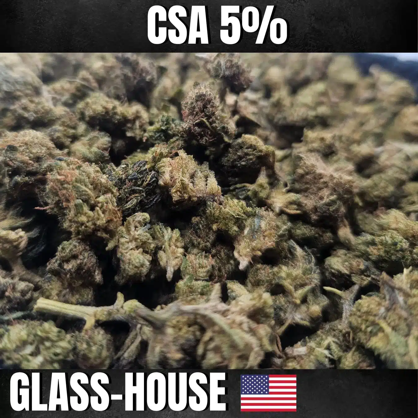 Fleur Sour Chem CSA 10% Glass House – Fleur euphorisante et stimulante