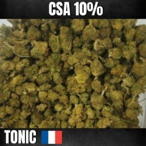 Fleur Tonic CSA 10% enrichie en CSA, fleur résineuse aux arômes frais et herbacés, effets euphoriques et stimulants
