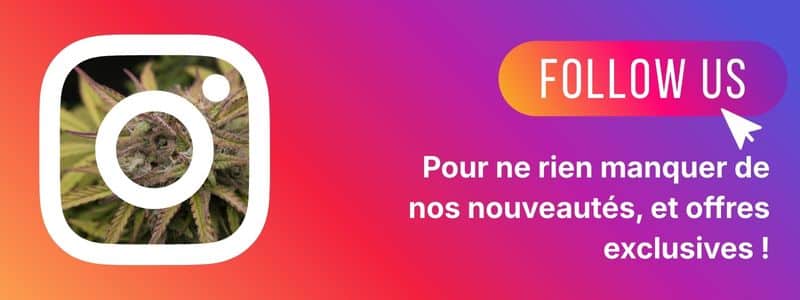 chanvre pure non mélange