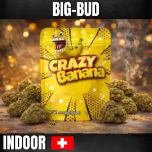 FLEURS DE CBD Crazy Banana indoor