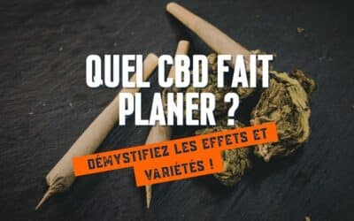 Quel CBD fait planer ?