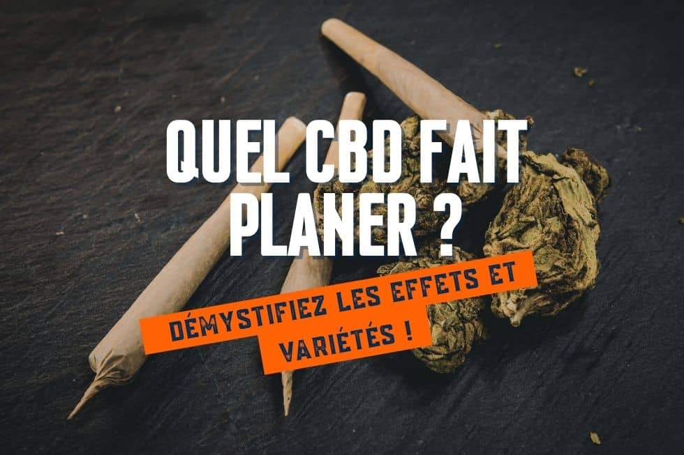 Quel CBD fait planer Démystifiez les effets et variétés !