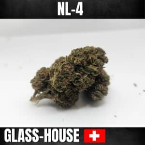 Fleurs de cbd lemon og nl4