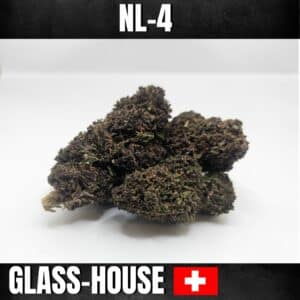fleurs cbd Saphire NL4