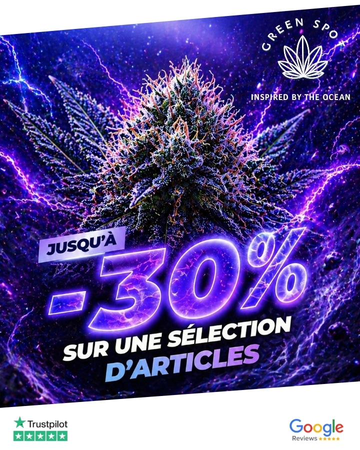 Le Green Spot - Commencez 2026 en beauté