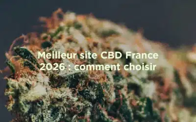 Meilleur site CBD France 2026 : comment choisir et où acheter pas cher