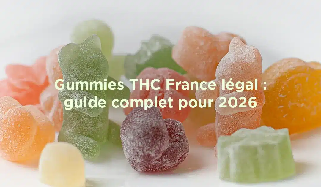 gummies THC légaux France - taux 0,3% THC