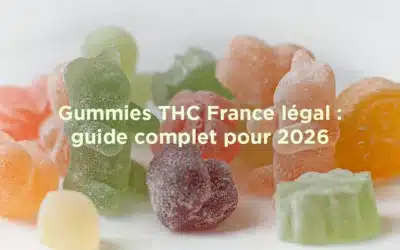 Gummies THC France légal : tout ce que vous devez savoir en 2026