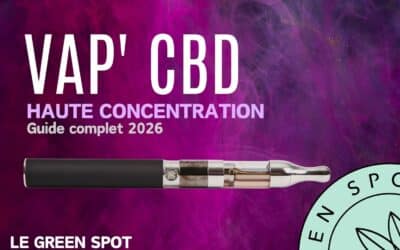 Comment choisir une puff CBD puissante : guide complet 2026