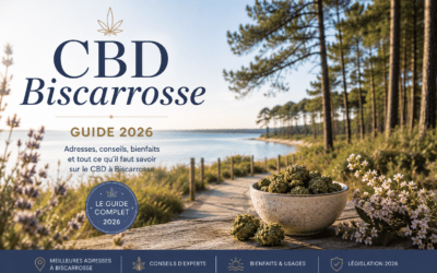 Guide CBD Biscarrosse 2026 — Le Green Spot boutique Biscarrosse plage et bourg, Landes