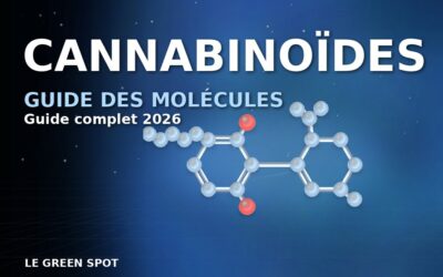 Cannabinoïde : guide complet des molécules du cannabis