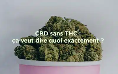 CBD sans THC : ce que ça veut dire vraiment